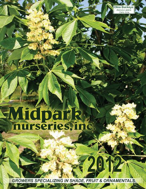 Midpark Nurseries Wisconsin Wholesale Nursery Catalogue 2012